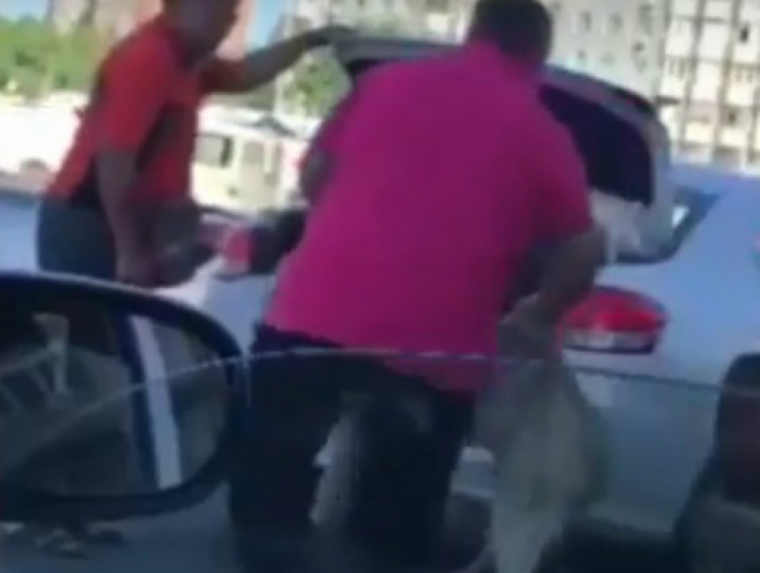 Незавидную участь напророчили собаке, путешествующей в багажнике на видео в Ростове