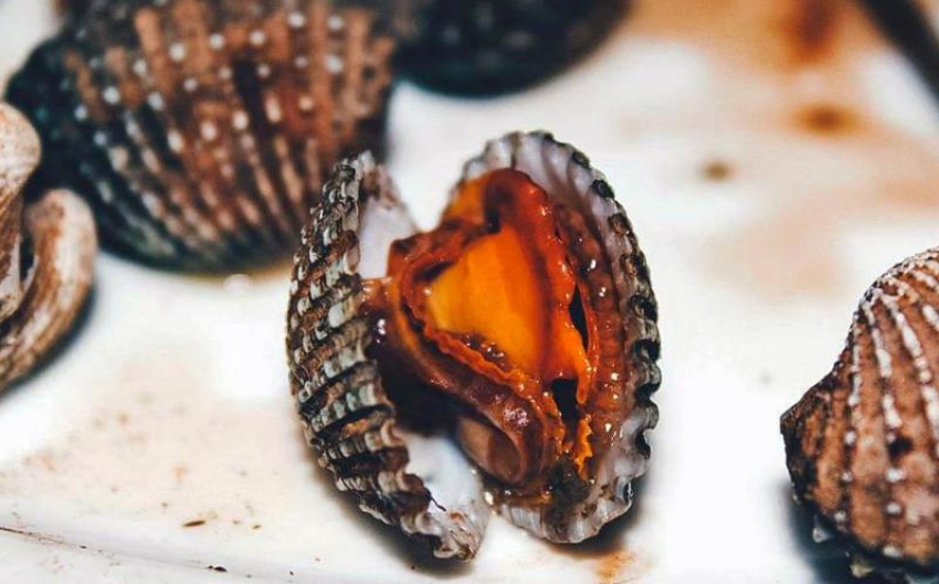 Запасы деликатесного моллюска в Азовском море составляют 20 млн тонн