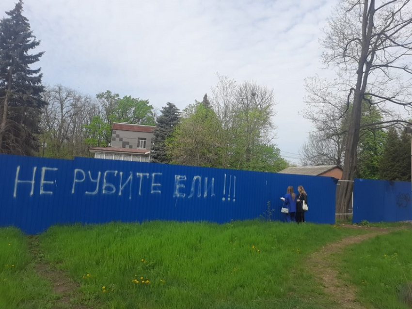 Жители Первомайского района Ростове требуют в суде от властей восстановить деревья