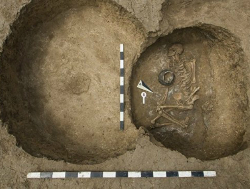 Захоронения богатых кочевников старше египетских пирамид откопали археологи под Ростовом