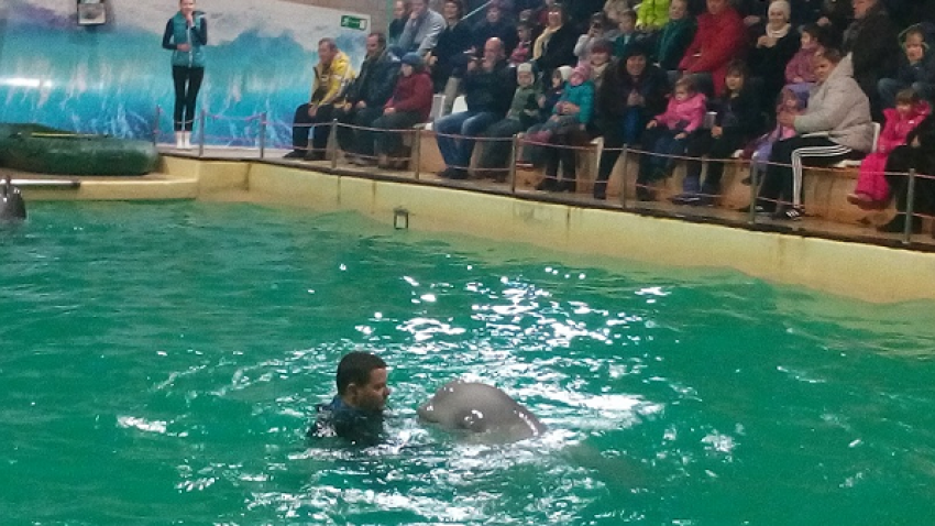 Ростовский дельфинарий посетили дети с ограниченными возможностями здоровья
