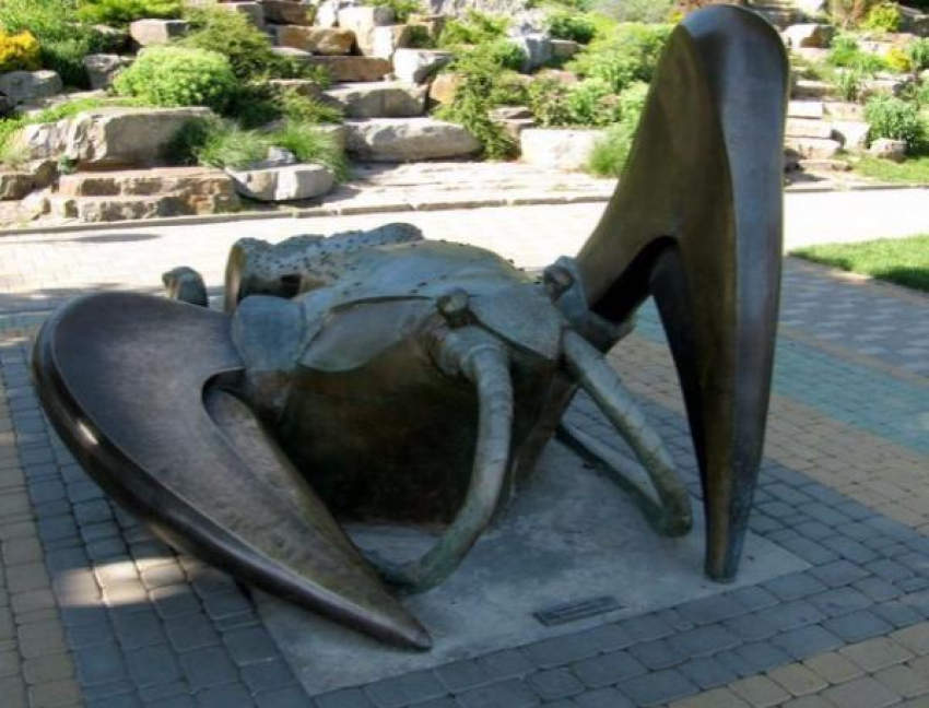 Жители дона хотят видеть на новых купюрах Ростов, Новочеркасск и раков