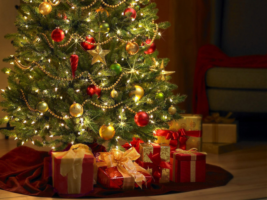 Ростовчанка призывает ставить на Новый год искусственные елки