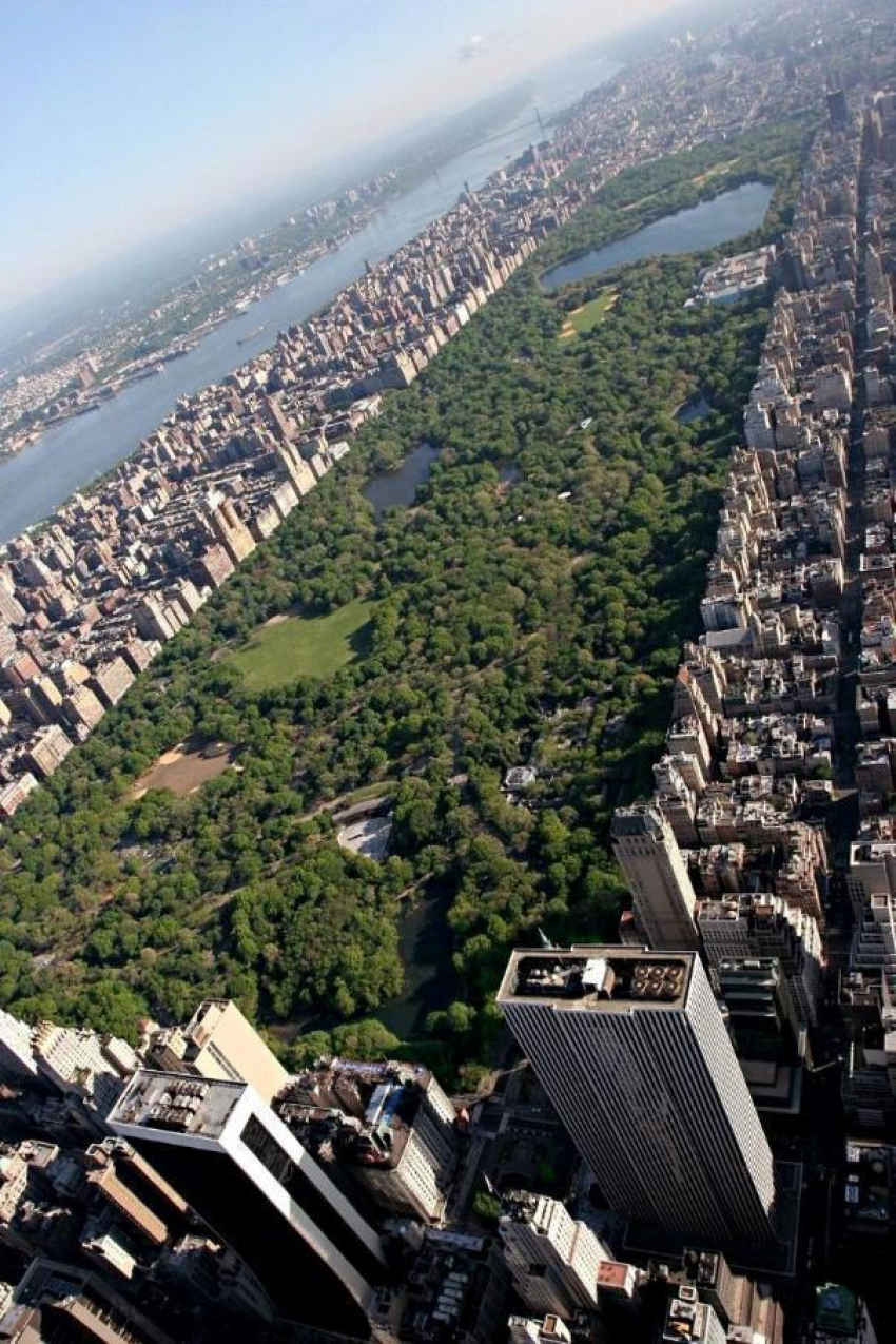 Ростовчанин предложил создать Центральный парк Нью-Йорка между Ростов и Батайском