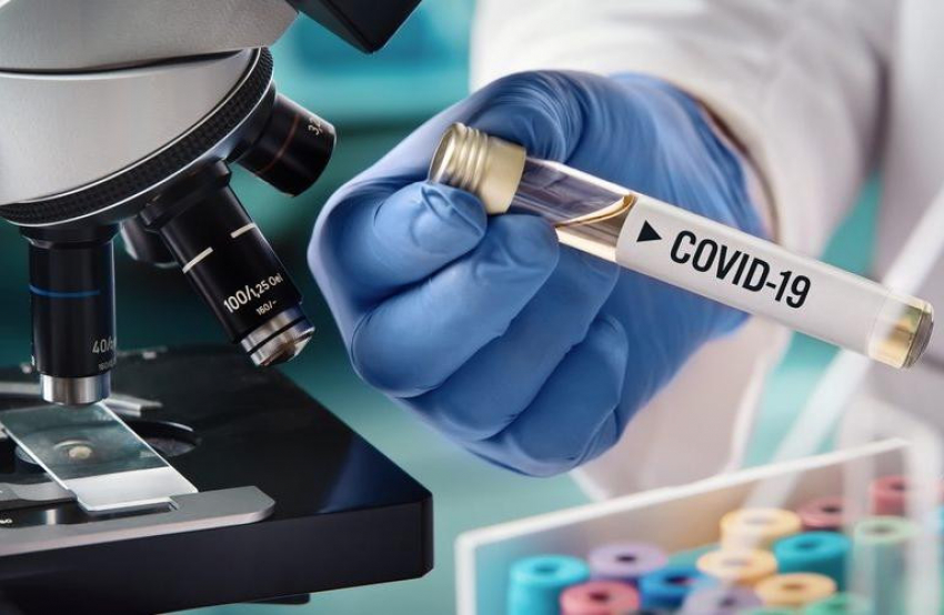 В Ростовской области за сутки выявили 95 новых инфицированных Covid-19