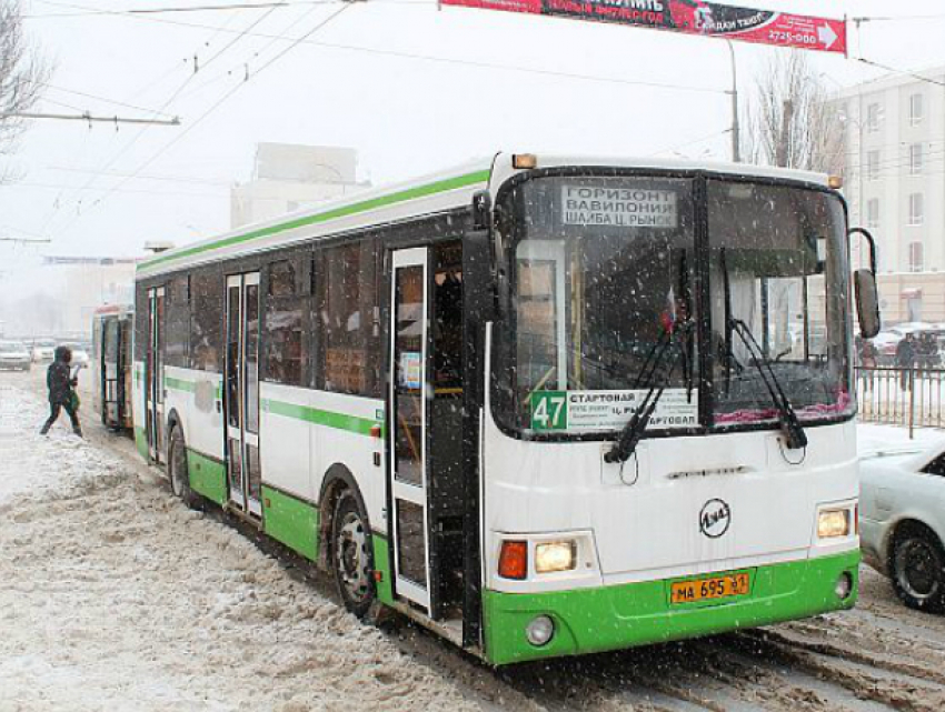 Против новой маршрутной сети общественного транспорта проголосовали жители Ростова