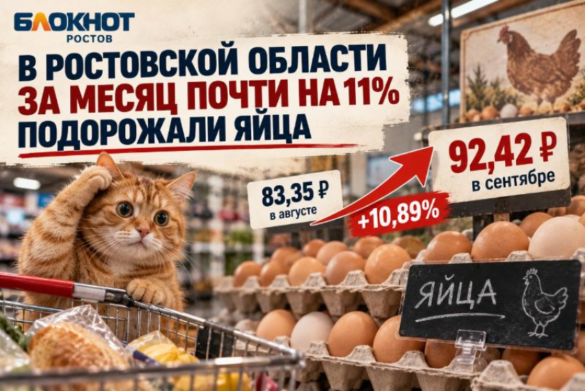 В Ростовской области за месяц почти на 11% подорожали яйца