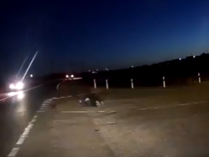 Отлетевший от удара об автомобиль пешеход на трассе под Ростовом попал на видео