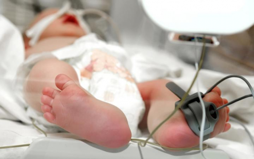 В Аксае начнется суд над матерью, бросившей умирать новорожденного в лесополосе 