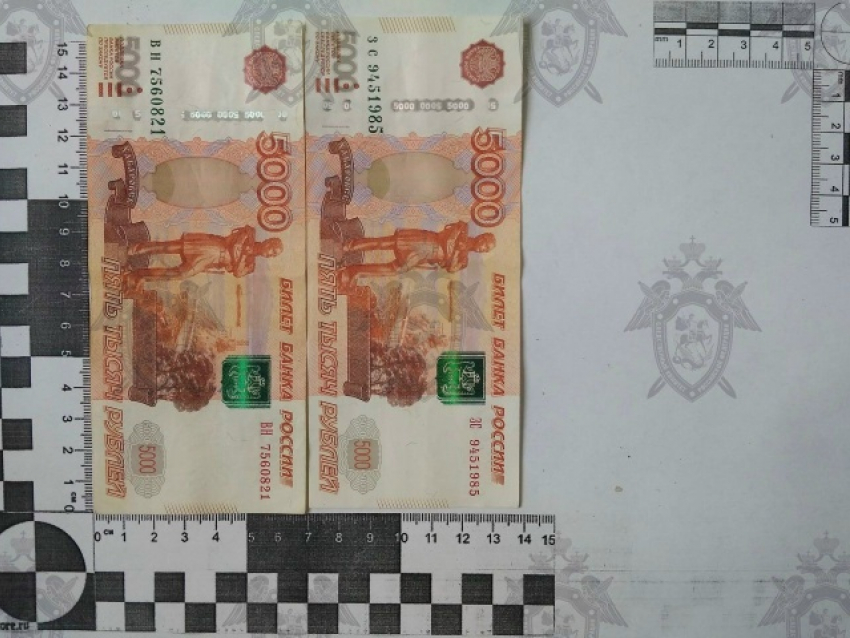 В Ростовской области инспектор ДПС пойдёт под суд за взятку в 20 тысяч рублей от пьяного водителя