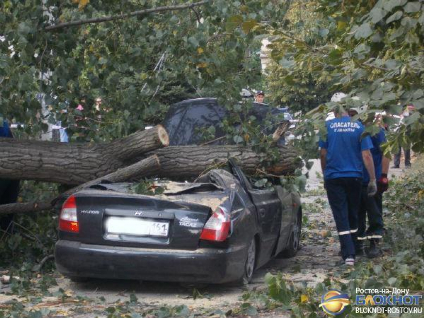 В Ростовской области по факту гибели мужчины из-за падения дерева возбуждено дело