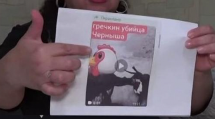 Федеральные СМИ раскрыли детали дела о травле ставропольской семьи радикальной зоозащитницей из Ростовской области 