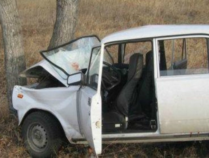 Возвращавшийся поздним вечером домой автомобилист «сломал голову» в ДТП с деревом в Ростове
