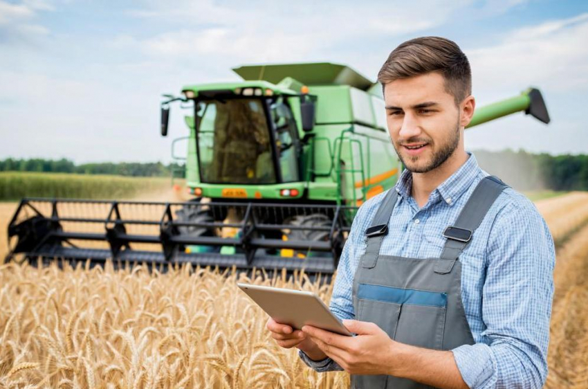 Фермер из Ростовской области собрал рекордный урожай пшеницы 