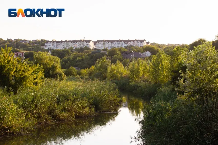 Ростовчане назвали главные городские проблемы в летний сезон