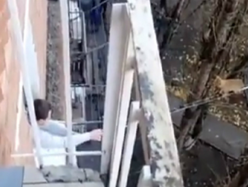 При помощи швабры и скотча жителю Ростова удалость спасти кота от неминуемой гибели