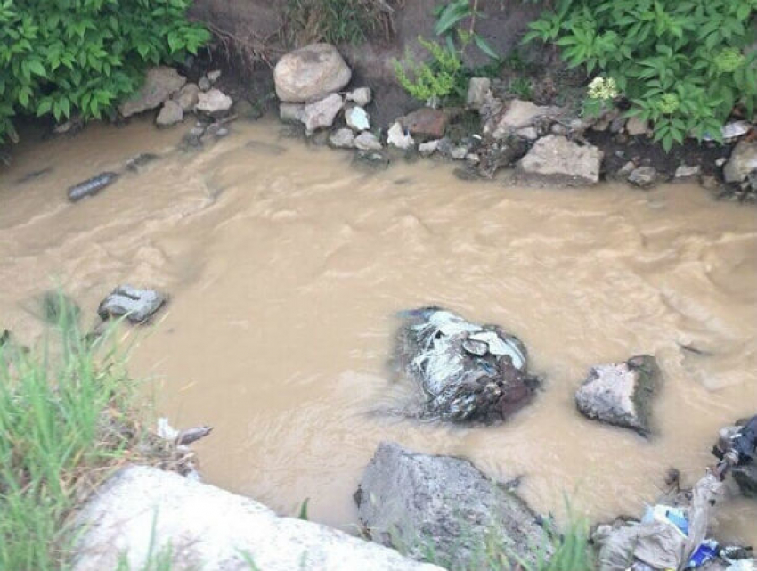 Ученые искали, но так и не нашли чистый водоем в Ростовской области