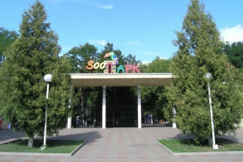 Парковку у ростовского зоопарка сделают уже в следующем месяце 