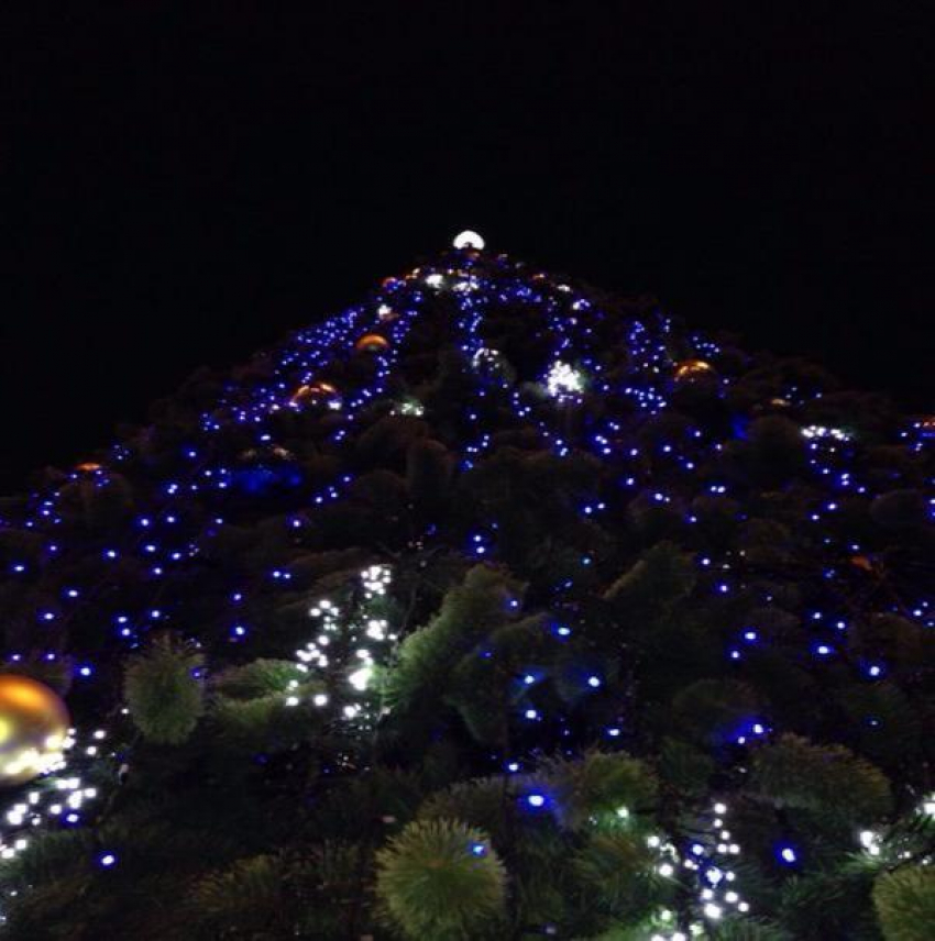 В парке Горького для ростовчан устанавливают новогоднюю елку