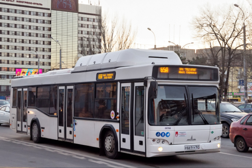 Еще восемь новых белорусских автобусов выйдут на маршруты Ростова-на-Дону 