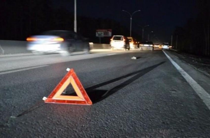 Пешеход погиб под колесами микроавтобуса в Ростовской области