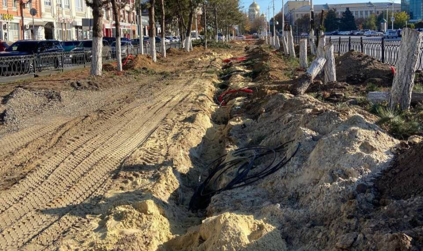 ‭«Это варварство»: сосновую аллею в Новочеркасске уничтожили под видом благоустройства