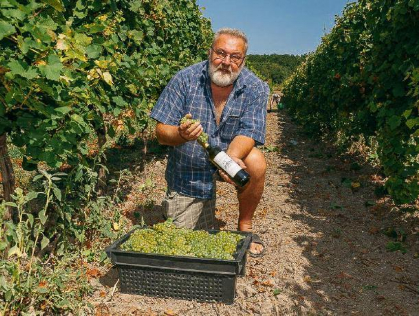 Единственный лицензированный винодел Ростовской области готов продать бизнес