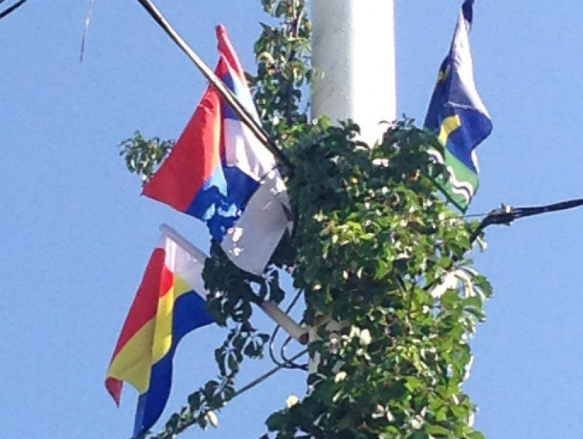 Флагами Сербии украсили Ростов невнимательные рабочие к Дню города