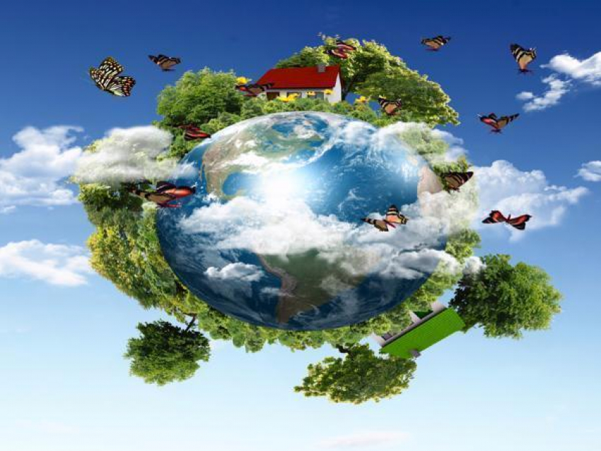 Всемирный день окружающей среды или День эколога 