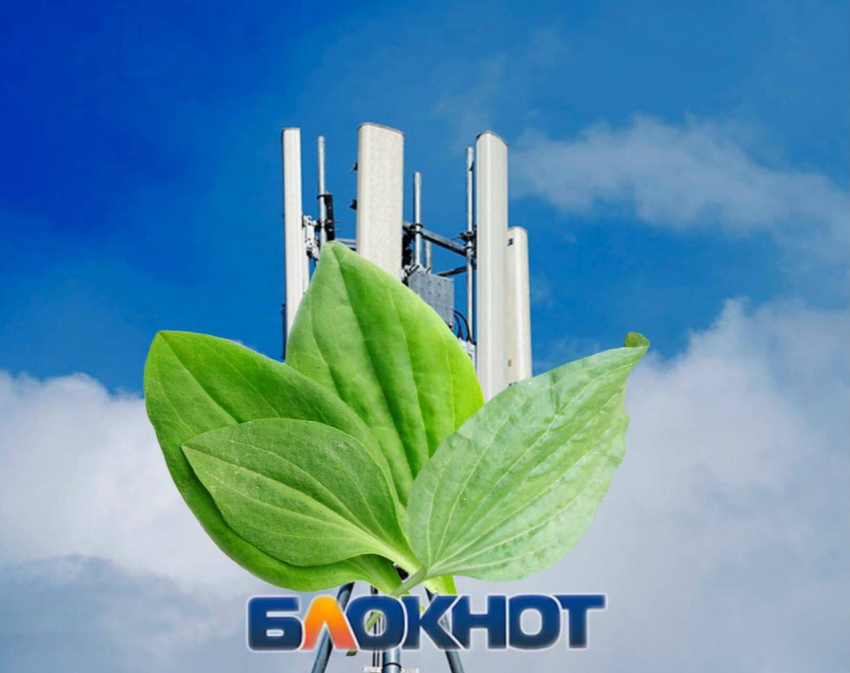 Жители Ростова пожаловались на отсутсвие мобильного интернета 3 декабря