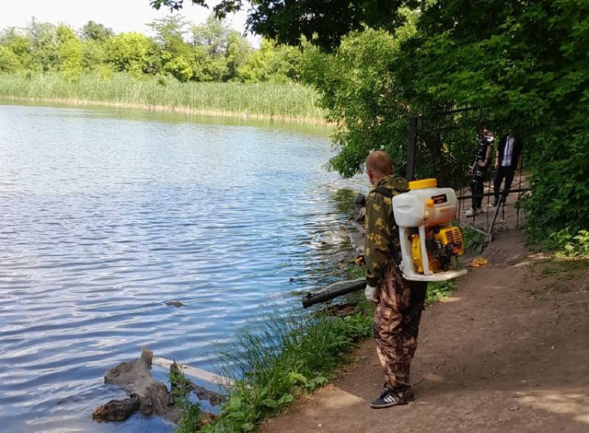 В Ростове начали обработку от комаров на Можайских прудах и Северном водохранилище