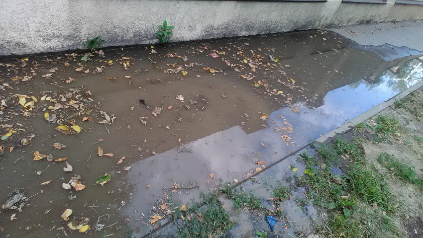 Жители дома на Волоколамской третий месяц ходят на работу по щиколотку в канализации