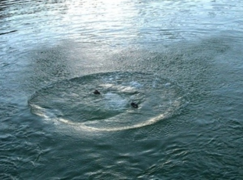 В Ростовской области за сутки утонули три ребенка и один взрослый