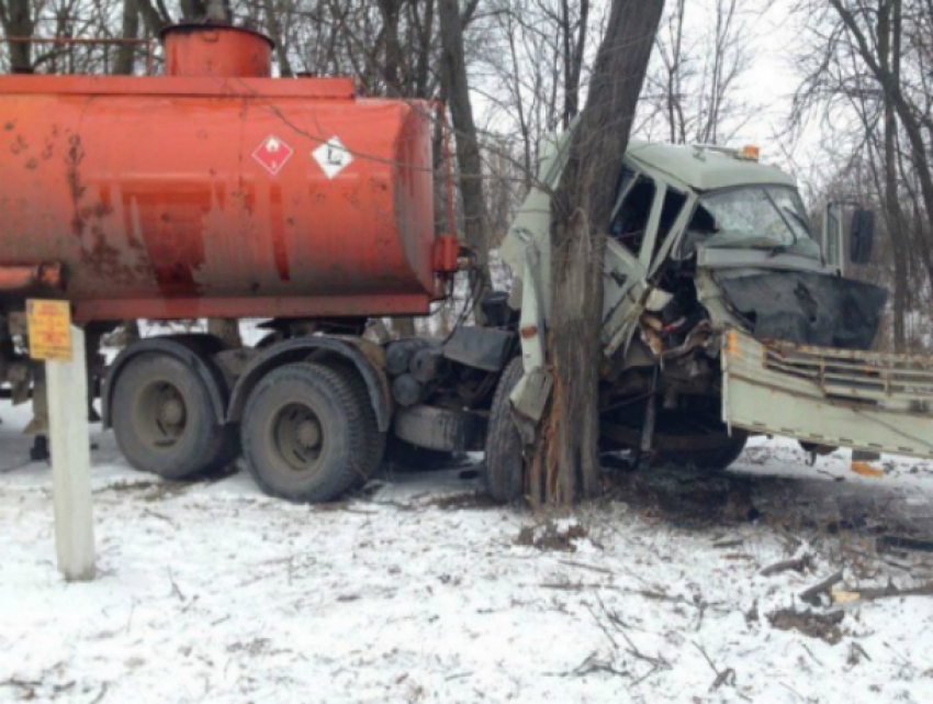 Уходя от столкновения с «легковушкой», бензовоз врезался в дерево на трассе под Ростовом