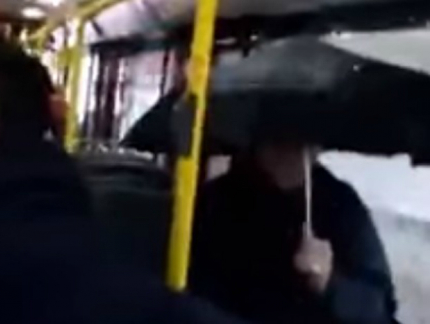 Утренняя поездка мужчины с открытым зонтом в «дождливом» автобусе Ростова попала на видео