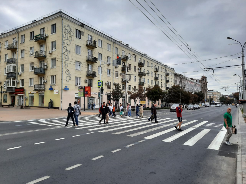 В Ростове у парка Горького появился пешеходный переход через Большую Садовую
