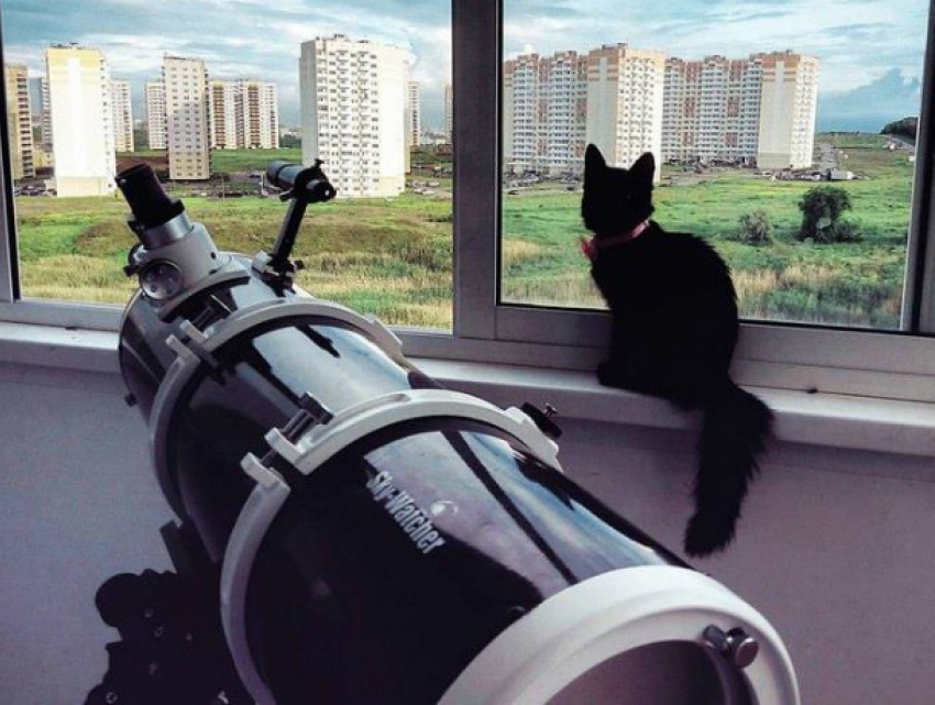 Подглядывание за девушками «без штор» в мощный телескоп устроил ростовчанин из окна седьмого этажа