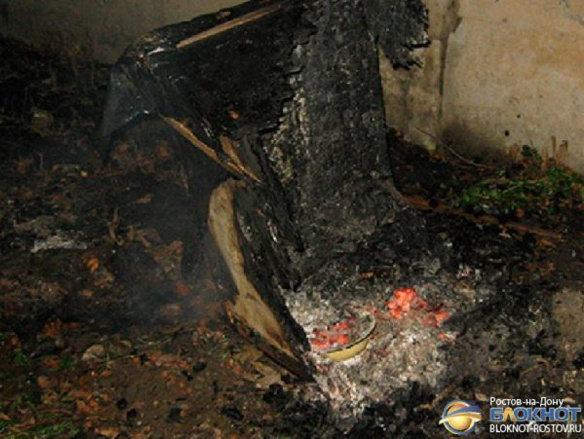 В Ростове 65-летняя пенсионерка подожгла вольер с собакой: животное заживо сгорело