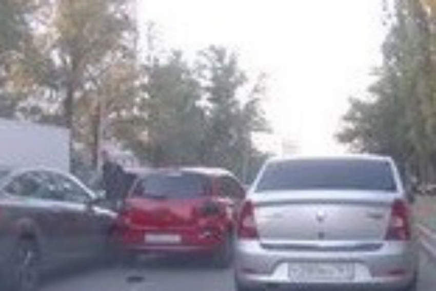 На Дону голубь спровоцировал аварию с тремя автомобилями
