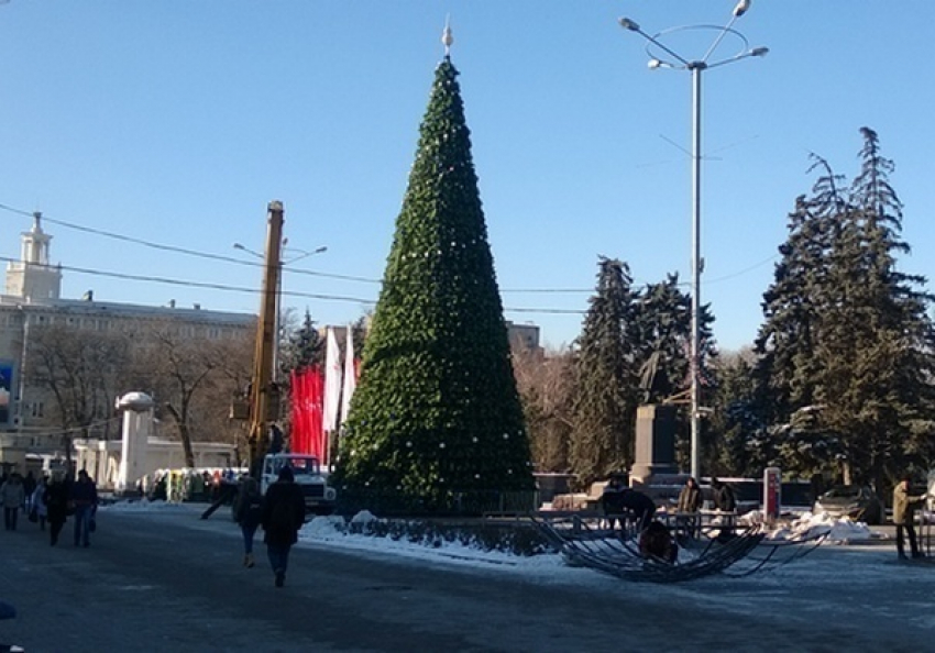 В Ростове-на-Дону установили главную новогоднюю елку
