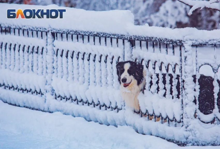Синоптики рассказали когда увидят первый снег в Ростовской области