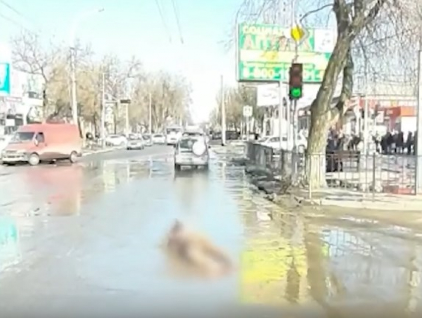 Жительница Таганрога голой искупалась в луже и попала на видео