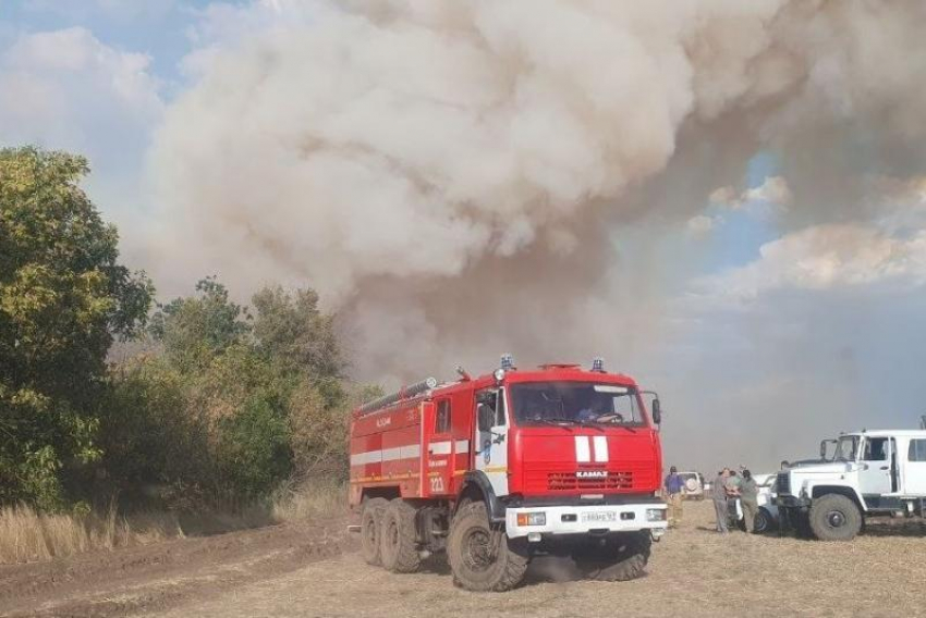 Крупный лесной пожар на площади в 125 га вспыхнул в Ростовской области