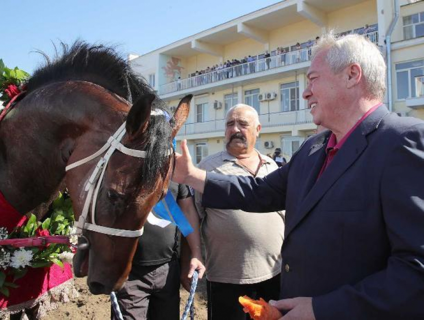 Василий Голубев раскритиковал ход работ по конно-спортивному комплексу под Ростовом
