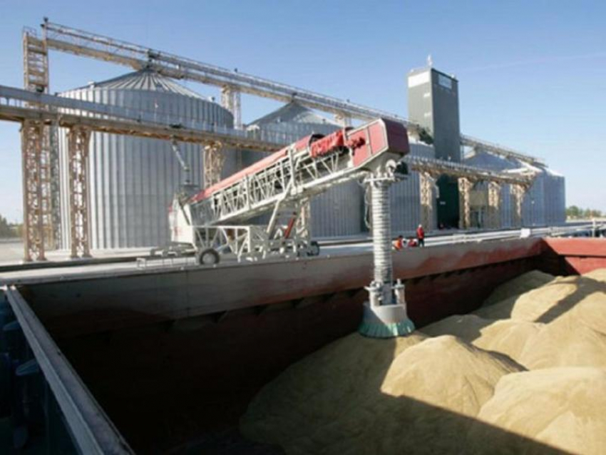 Западные санкции не повлияли на экспорт сельхозпродукции из Ростовской области