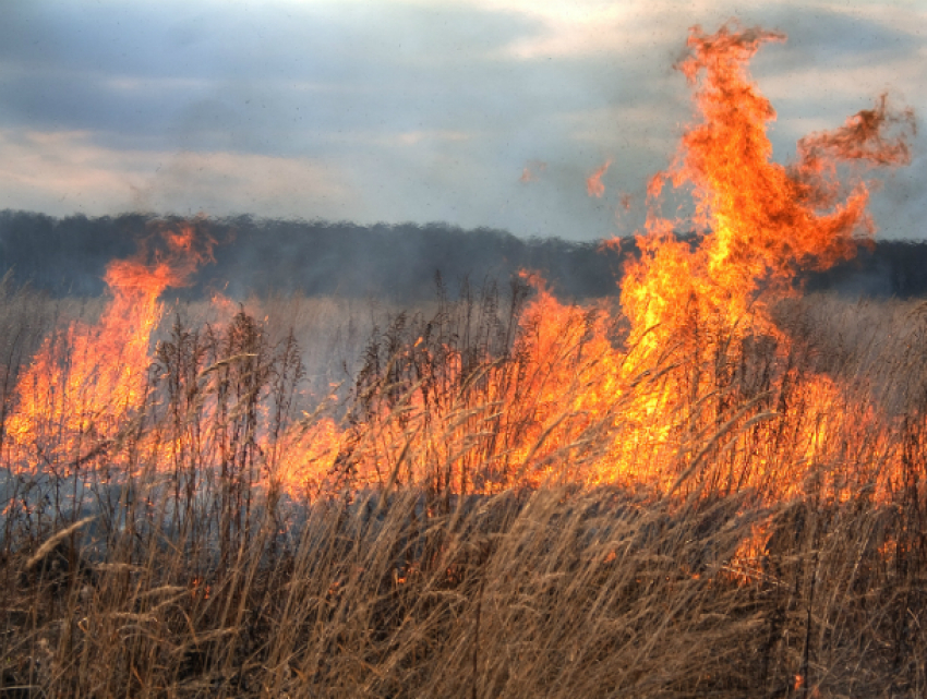 Крупные ландшафтные пожары потушены в Ростовской области