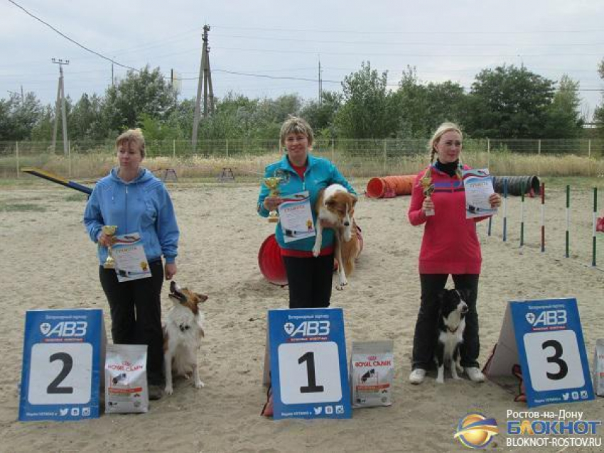 Финалистка шоу «Минута славы» выиграла Кубок Ростовской области по аджилити