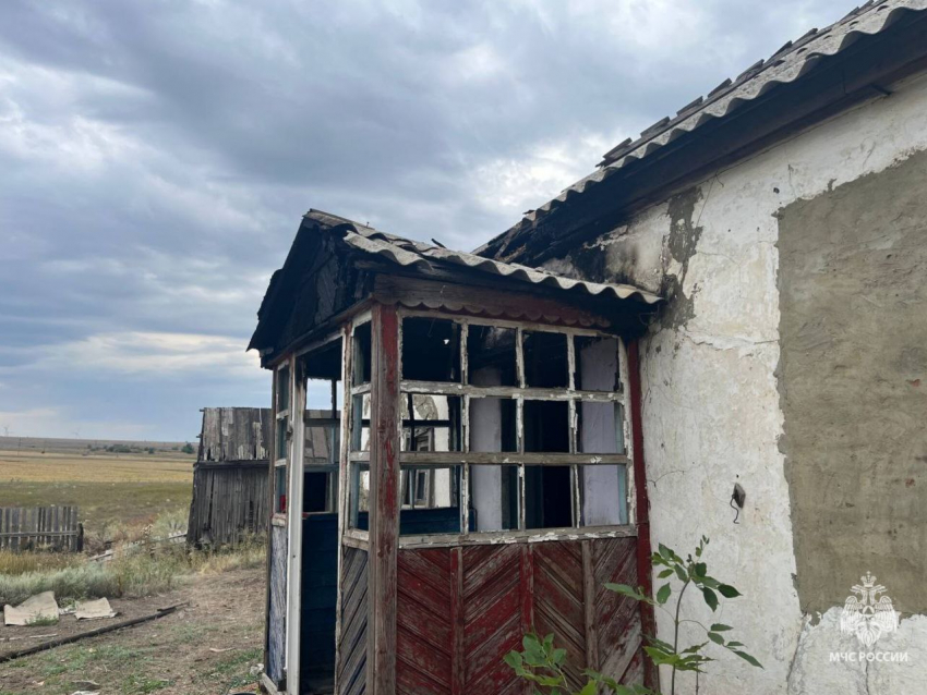 Героические животные спасли дом от пожара в Красносулинском районе