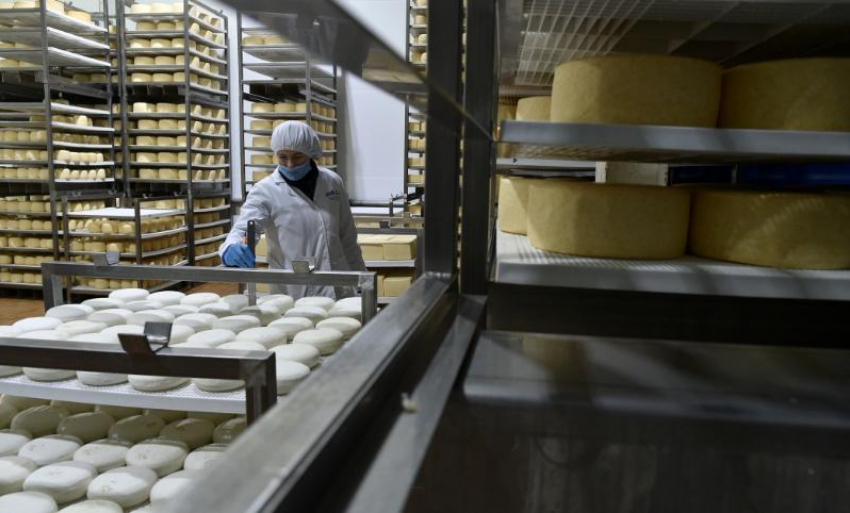 Производство пищевых продуктов в Ростовской области выросло на 6% в 2023 году