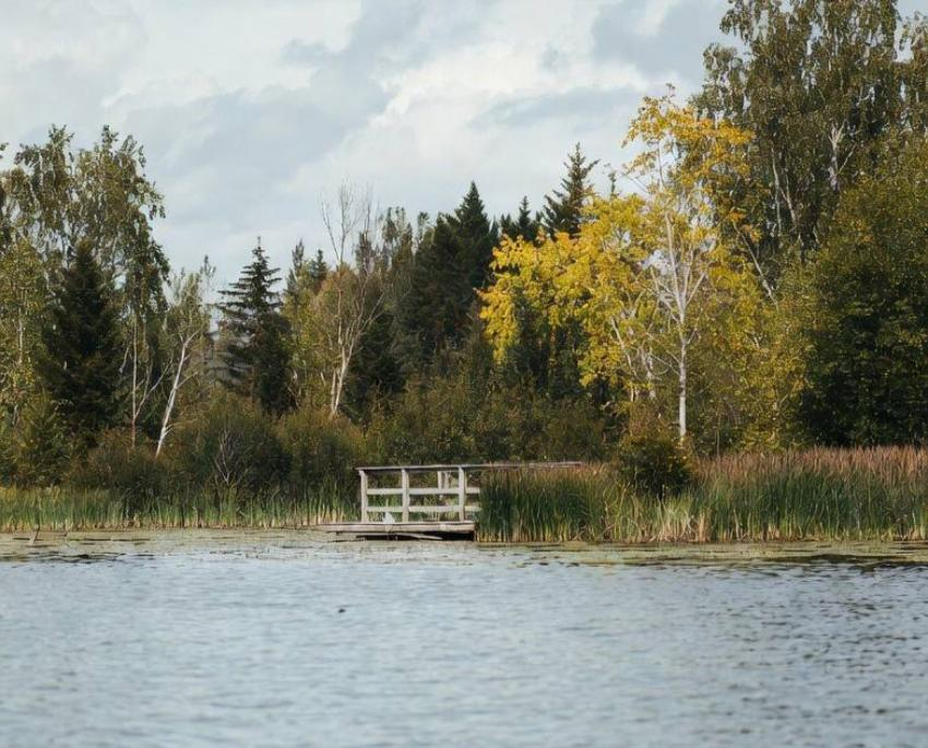 Убил из-за места для рыбалки – конфликт на берегу закончился выстрелами и судом